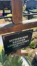 Захоронение ID 6381027