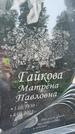 Захоронение ID 6381359