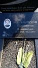 Захоронение ID 6381579