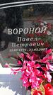 Захоронение ID 6381925