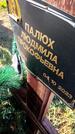 Захоронение ID 6384004