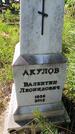 Захоронение ID 6384209