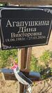 Захоронение ID 6385137