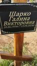 Захоронение ID 6385208