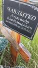 Захоронение ID 6385294