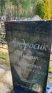 Захоронение ID 6385413