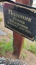 Захоронение ID 6385511
