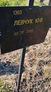 Захоронение ID 6386066