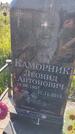 Захоронение ID 6386068