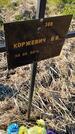 Захоронение ID 6386118