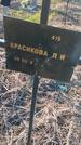 Захоронение ID 6386133
