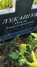 Захоронение ID 6386154