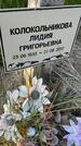 Захоронение ID 6387103