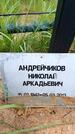 Захоронение ID 6387136