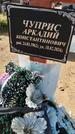 Захоронение ID 6387247