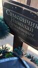 Захоронение ID 6387373