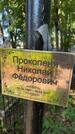 Захоронение ID 6390282