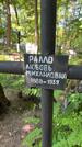 Захоронение ID 6390308