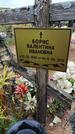 Захоронение ID 6390699
