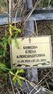 Захоронение ID 6390912