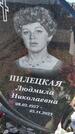 Захоронение ID 6392496