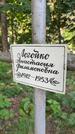 Захоронение ID 6392561