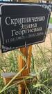 Захоронение ID 6392708