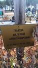 Захоронение ID 6393585