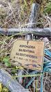 Захоронение ID 6394412