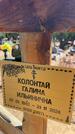 Захоронение ID 6396351
