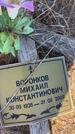 Захоронение ID 6396352