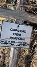 Захоронение ID 6396355