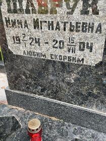 Захоронение ID 3566888