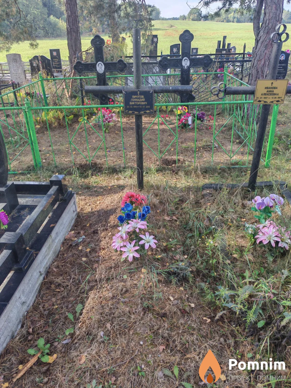 Пичугов Геннадий Викторович