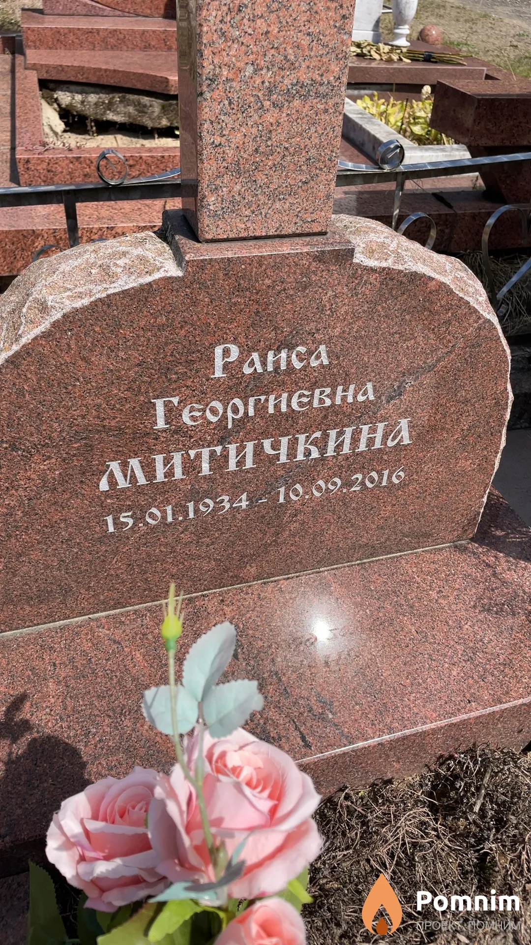 Митичкина Раиса Георгиевна