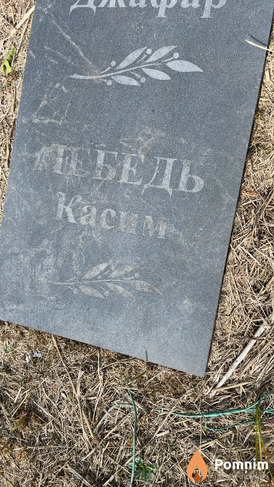 Лебедь Касим