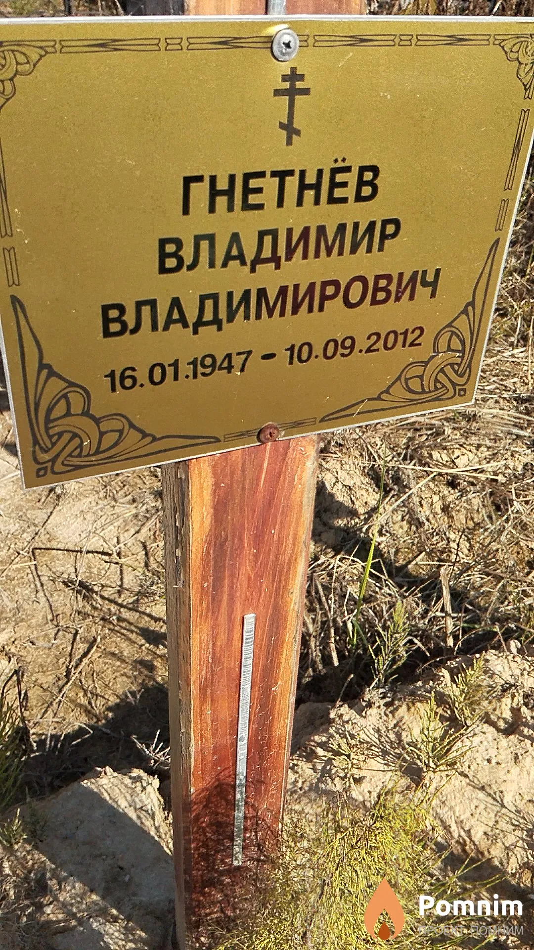 Гнетнёв Владимир Владимирович