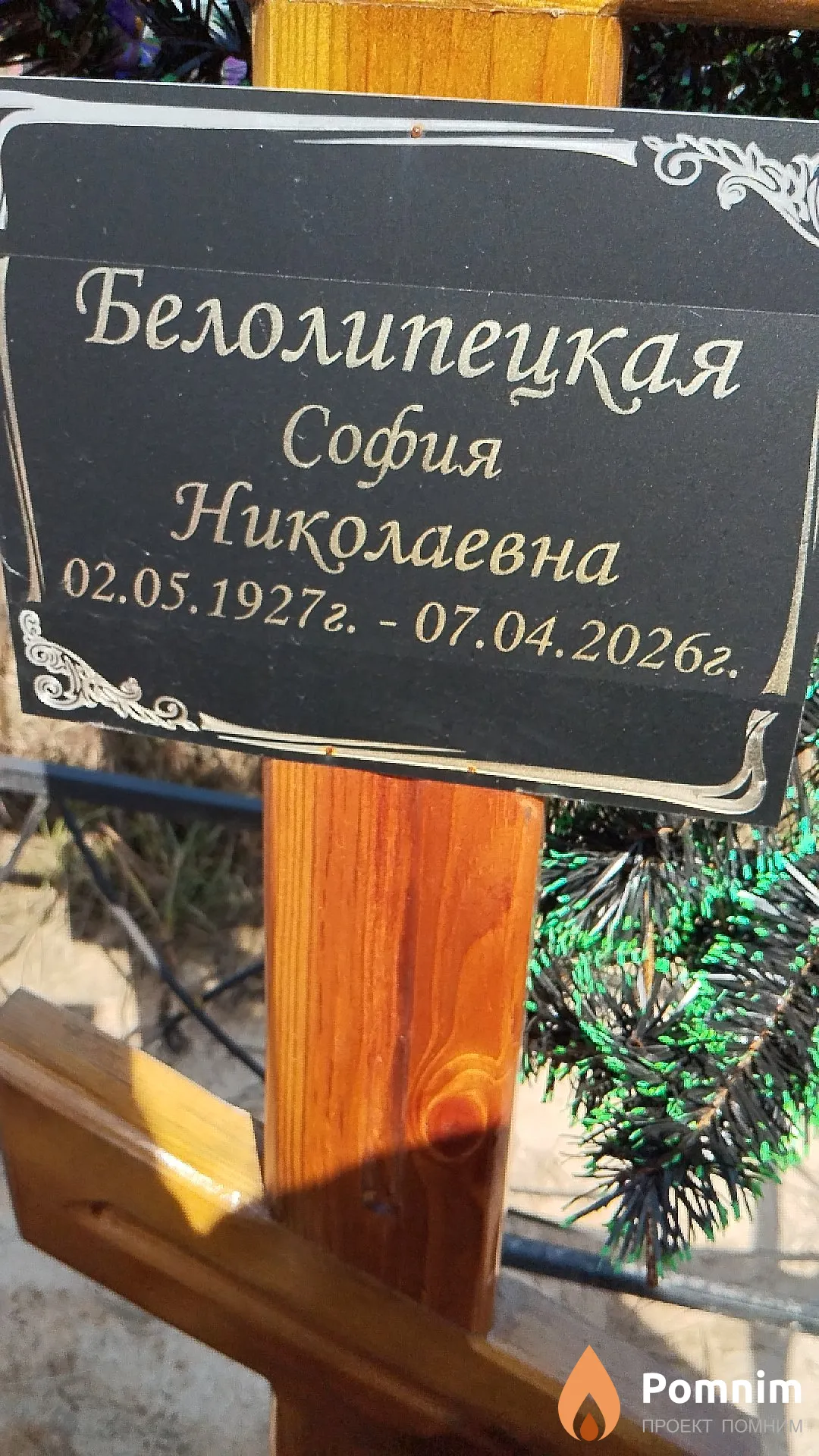 Белолипецкая София Николаевна