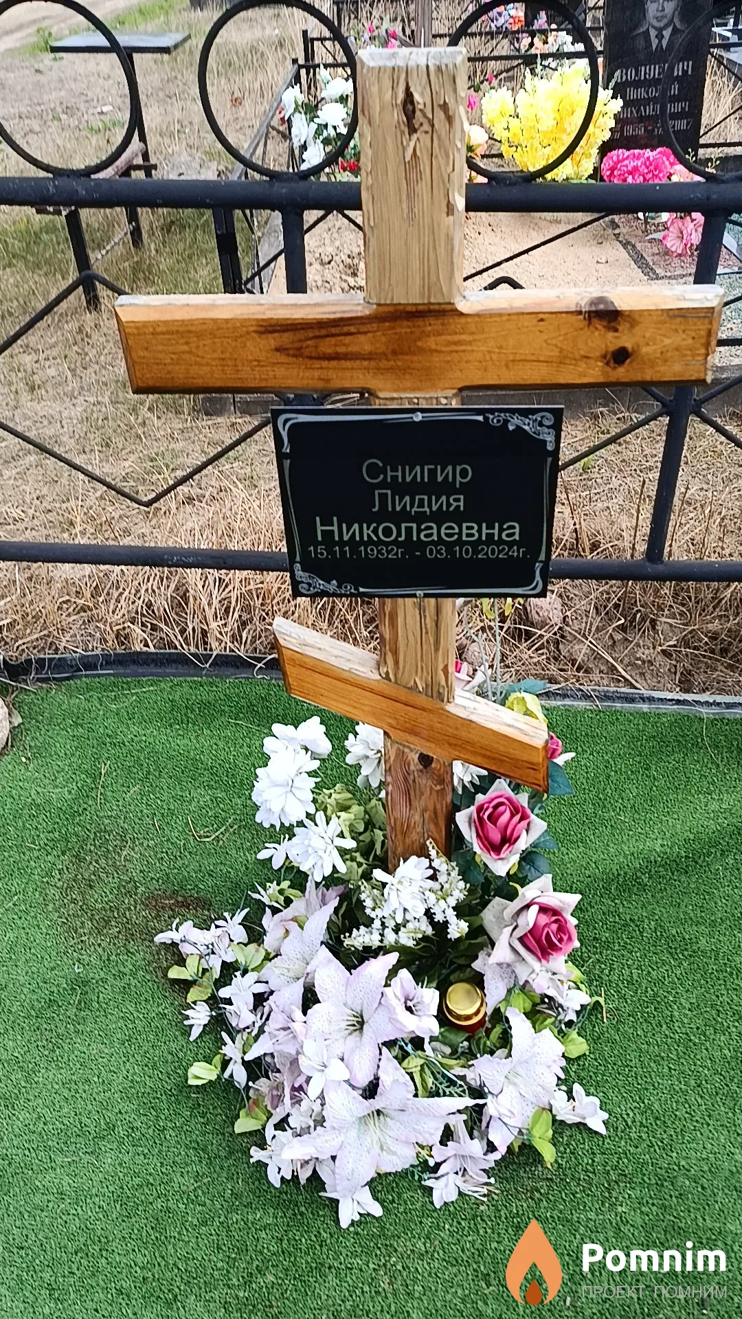 Снигир Лидия Николаевна