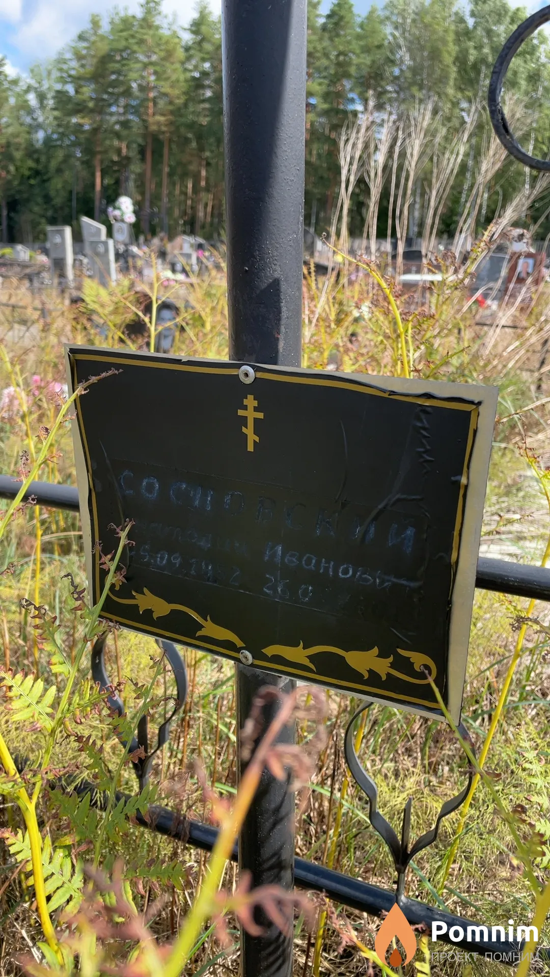 Сосновский Анатолий Иванович