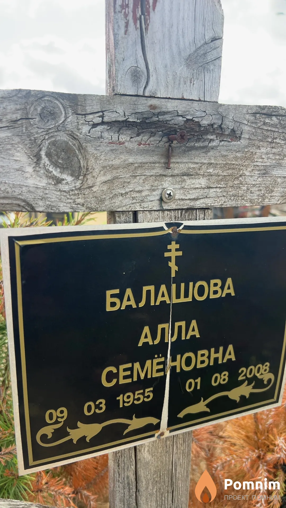 Балашова Алла Семёновна