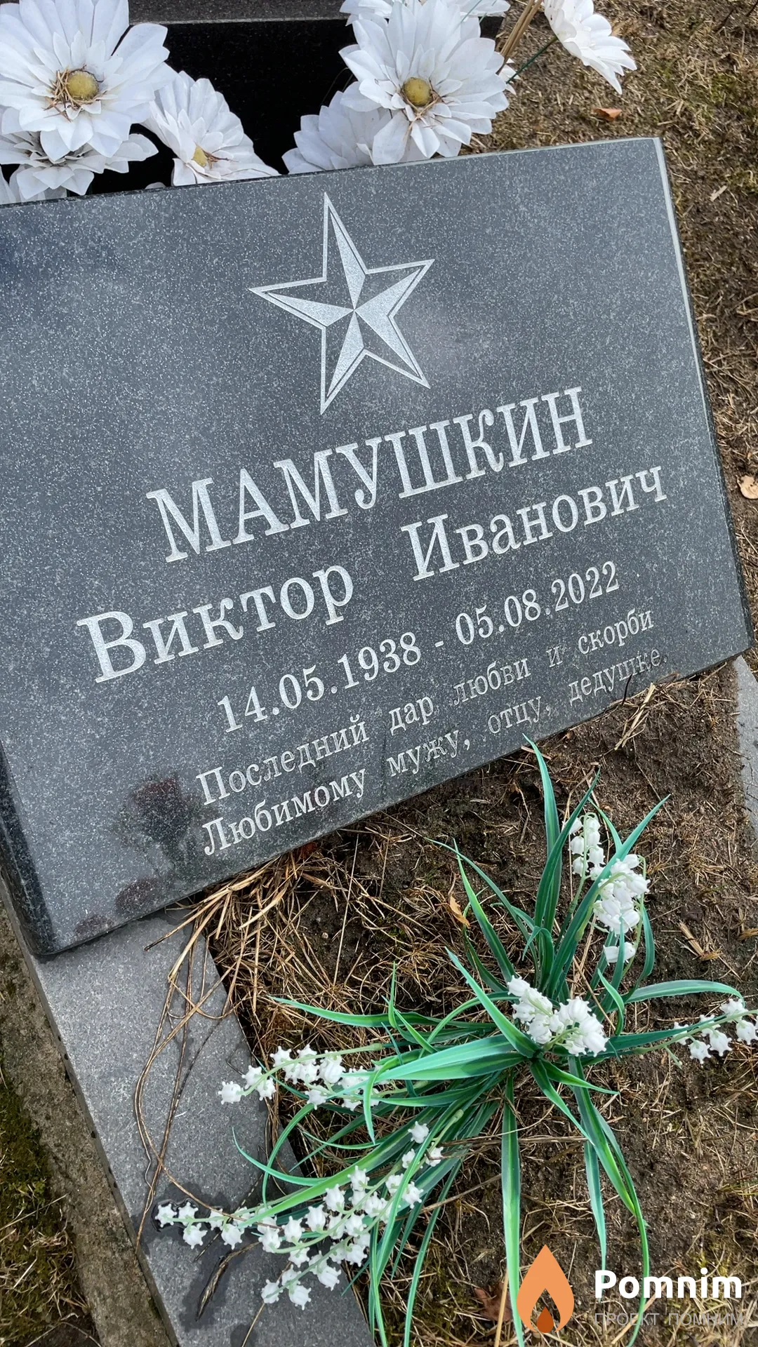 Мамушкин Виктор Иванович
