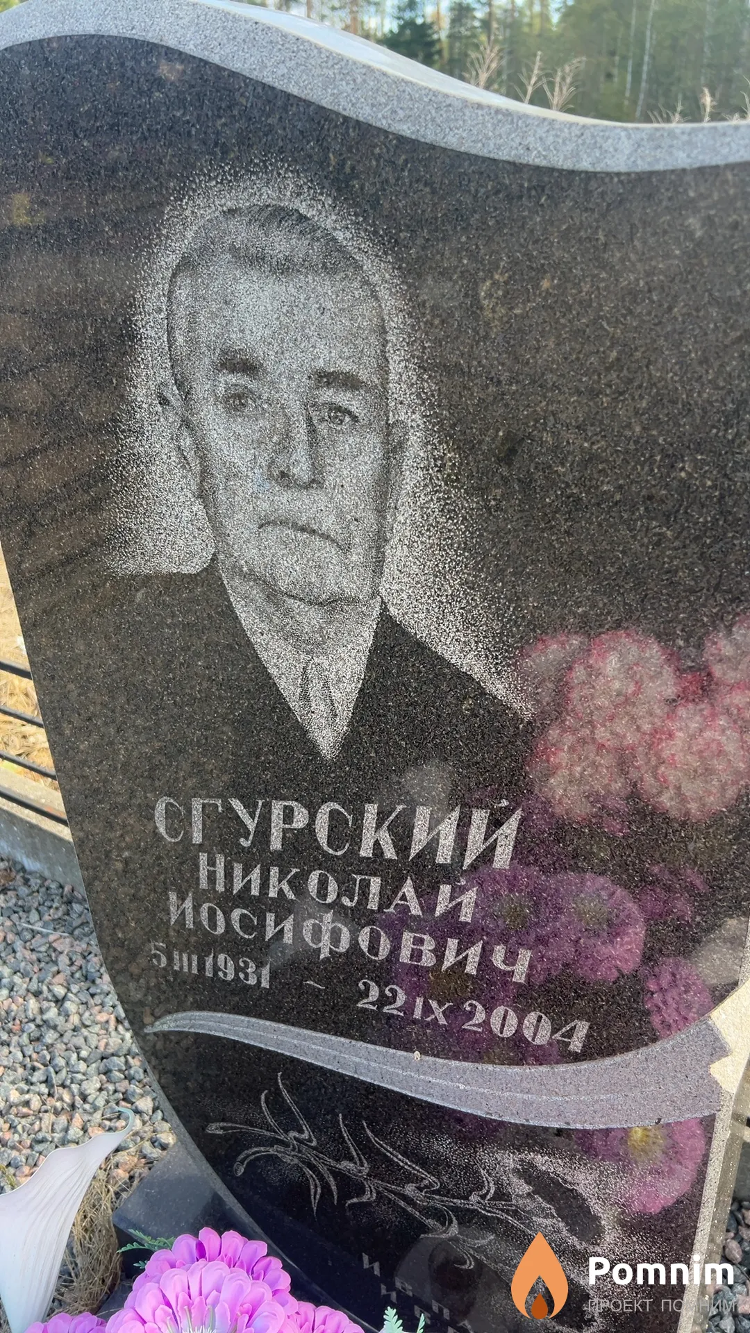 Сгурский Николай Иосифович