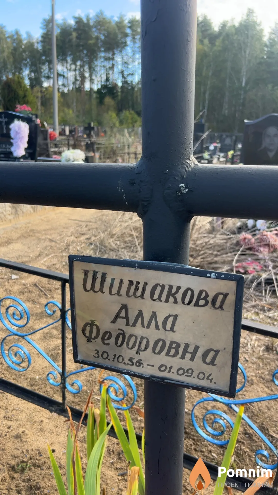 Шишакова Алла Федоровна