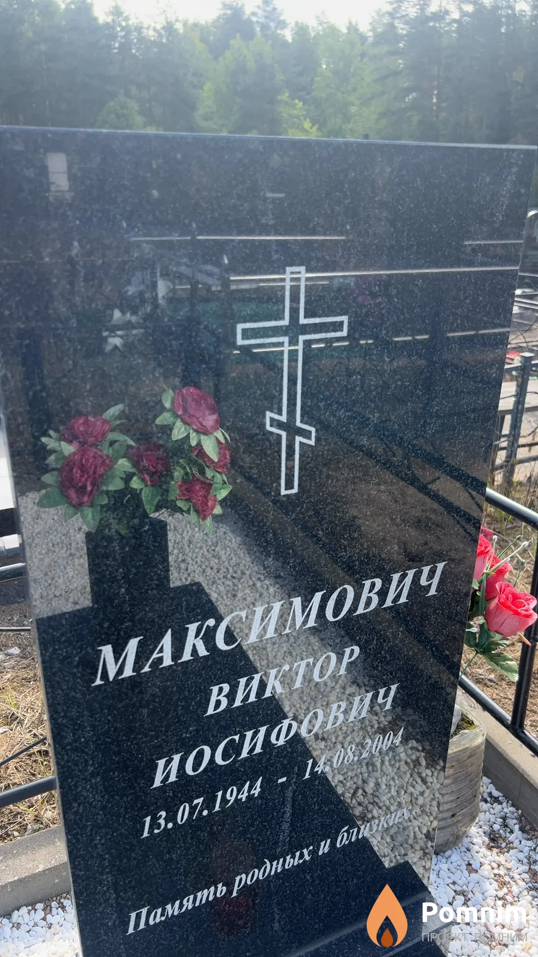 Максимович Виктор Иосифович