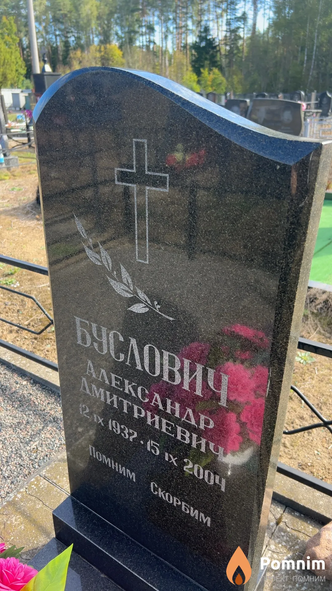 Буслович Александр Дмитриевич