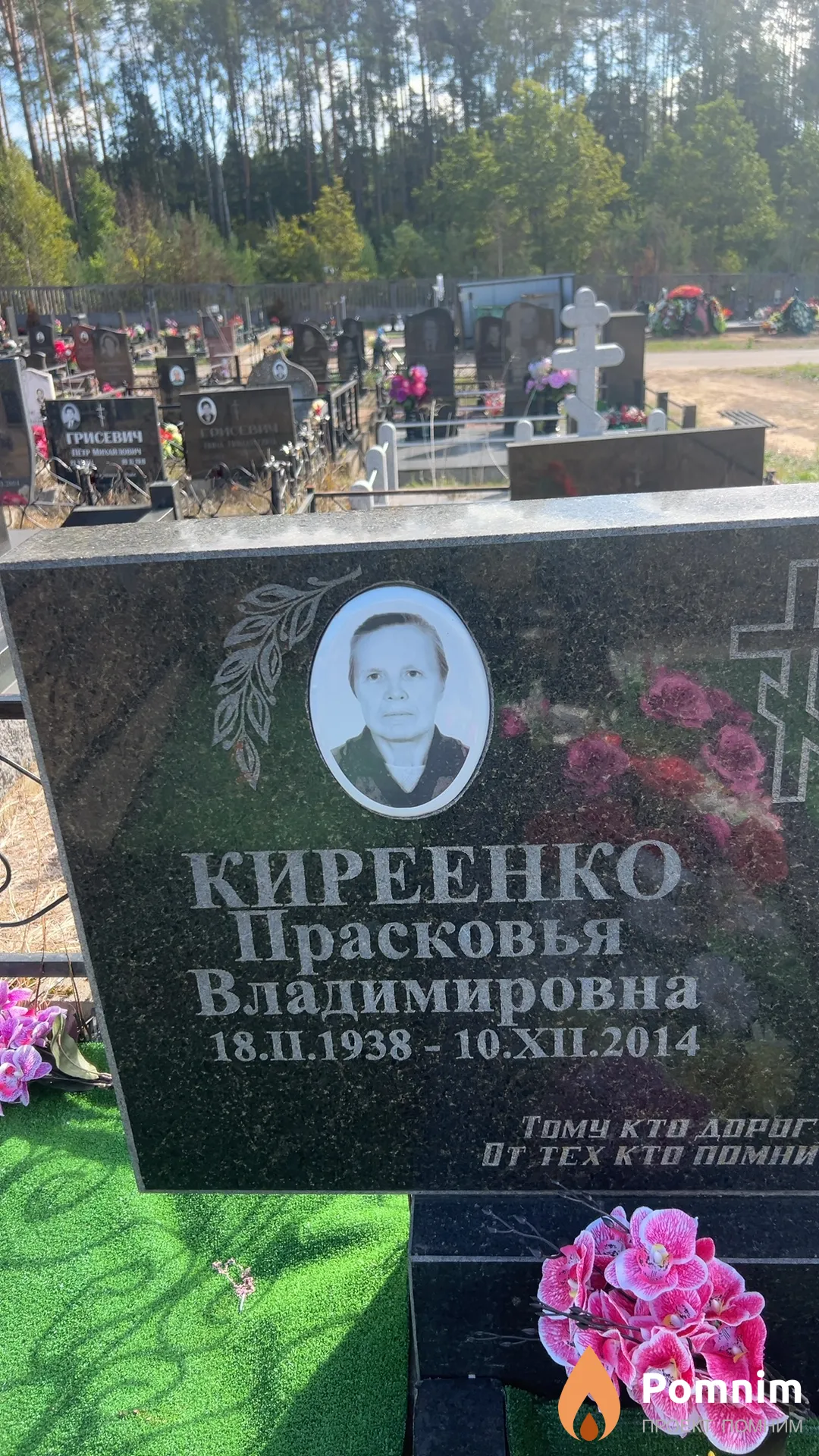 Киреенко Прасковья Владимировна