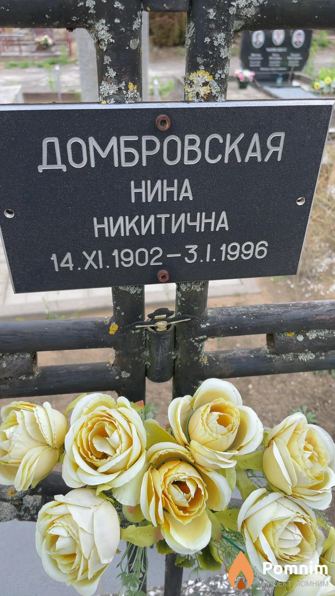 Домбровская Нина Никитична
