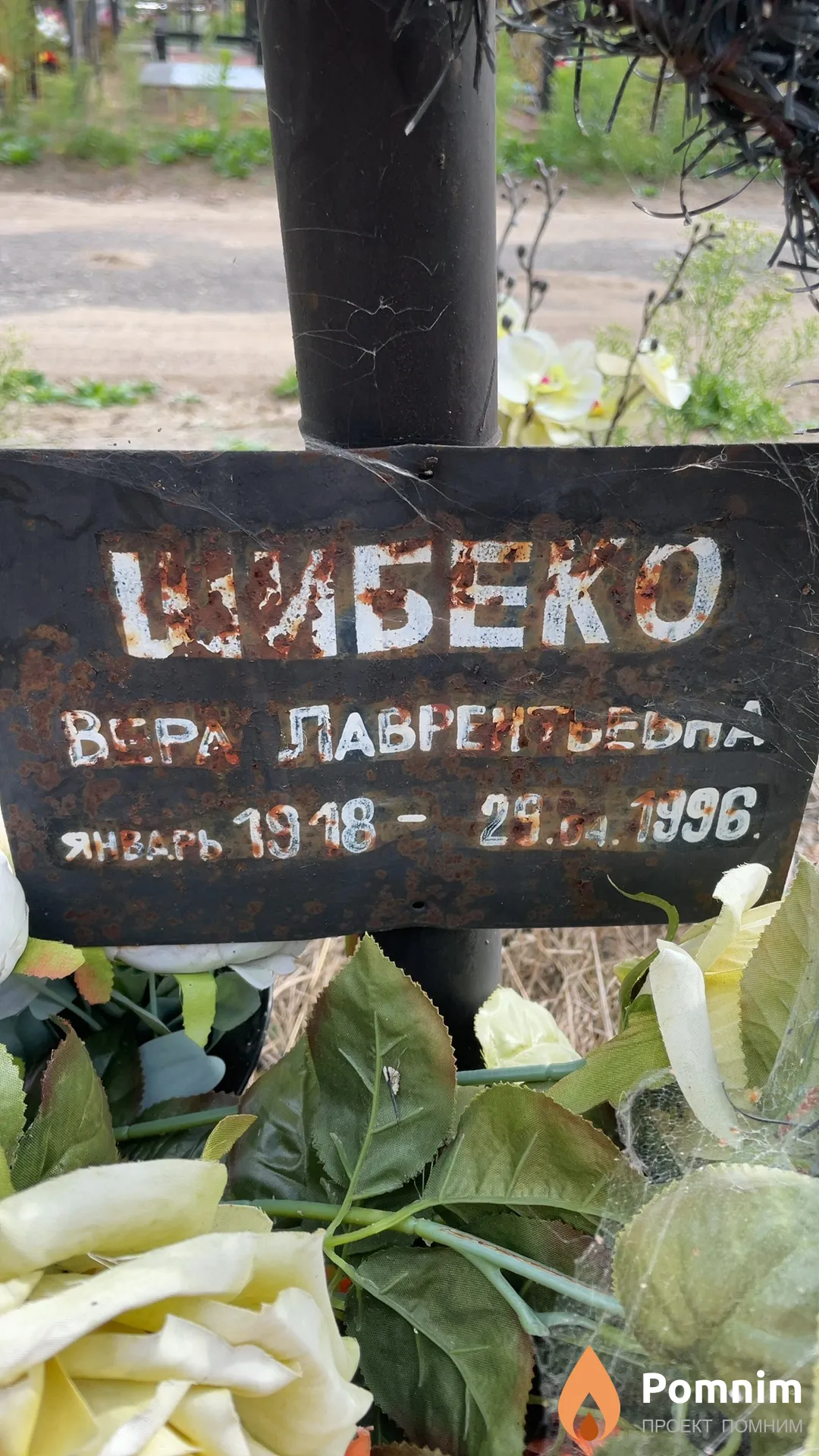 Шибеко Вера Лаврентьевна