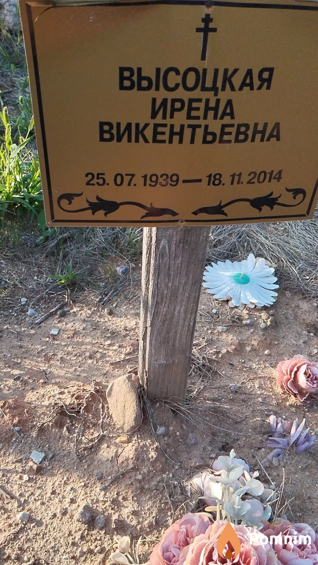 Высоцкая Ирена Викентьевна
